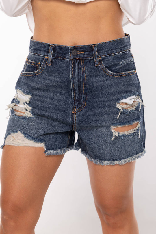 Short cello - AM49288DKD